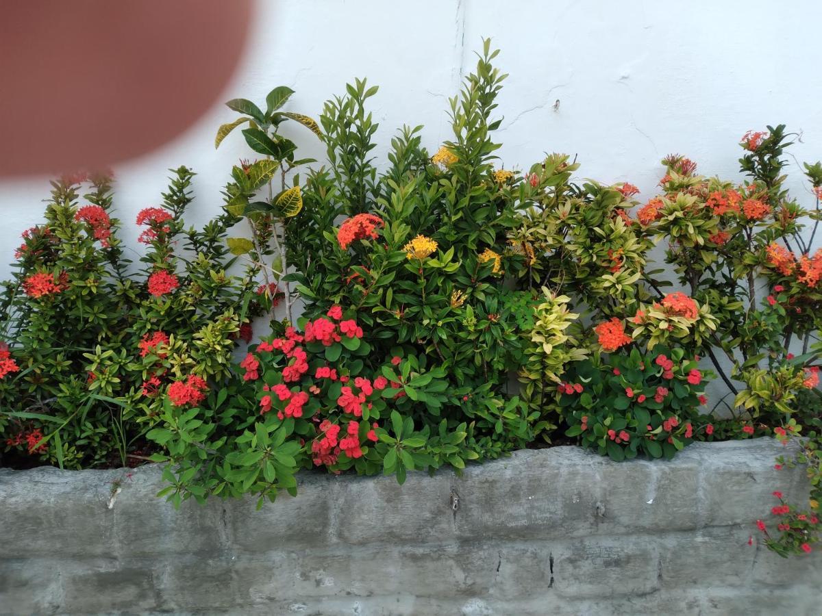 Pousada Terra De Minas Natal Dış mekan fotoğraf