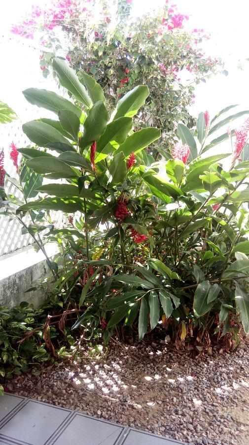 Pousada Terra De Minas Natal Dış mekan fotoğraf